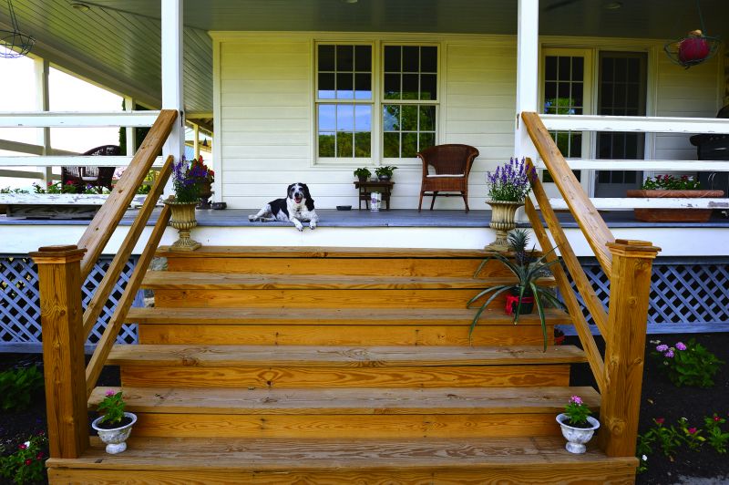 Deck Steps Repair in Alpharetta, GA